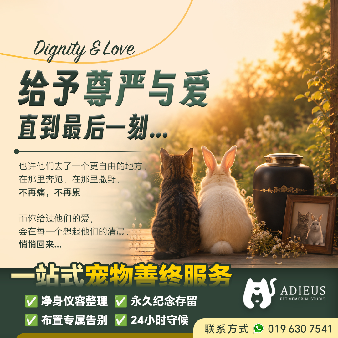 Adieus dignity and love pet aftercare visual
