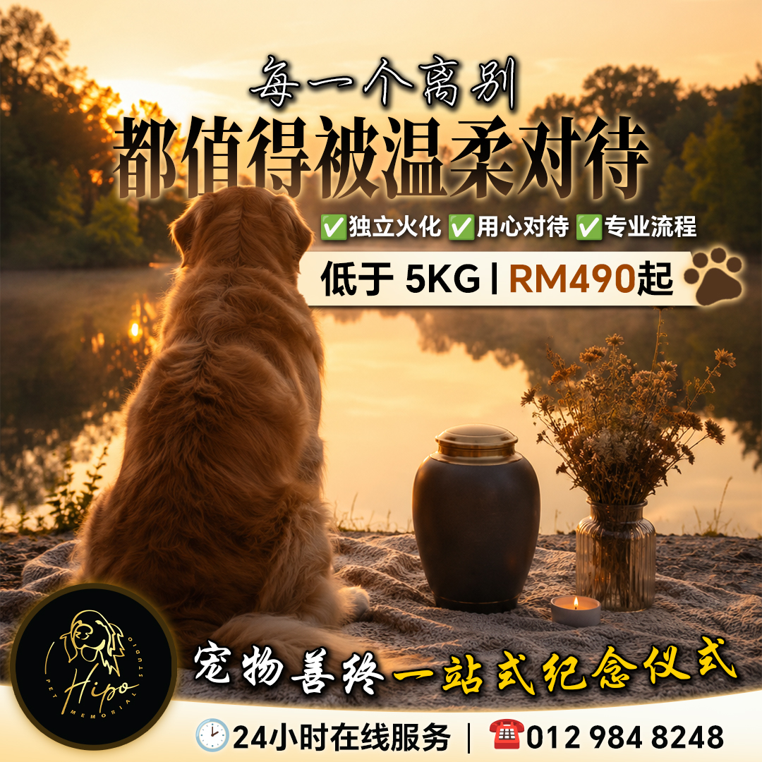 Hipo pet farewell package promotion