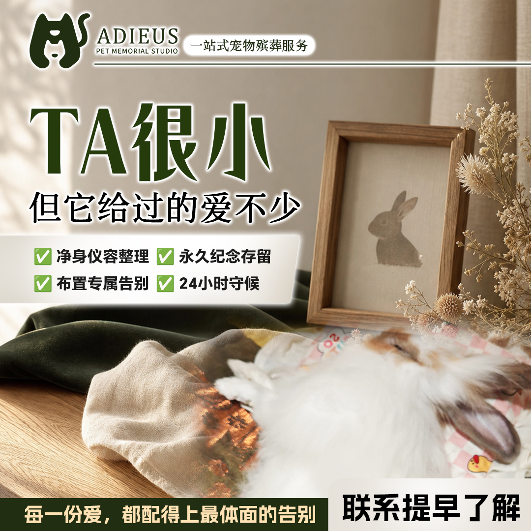 Adieus pet memorial service campaign visual