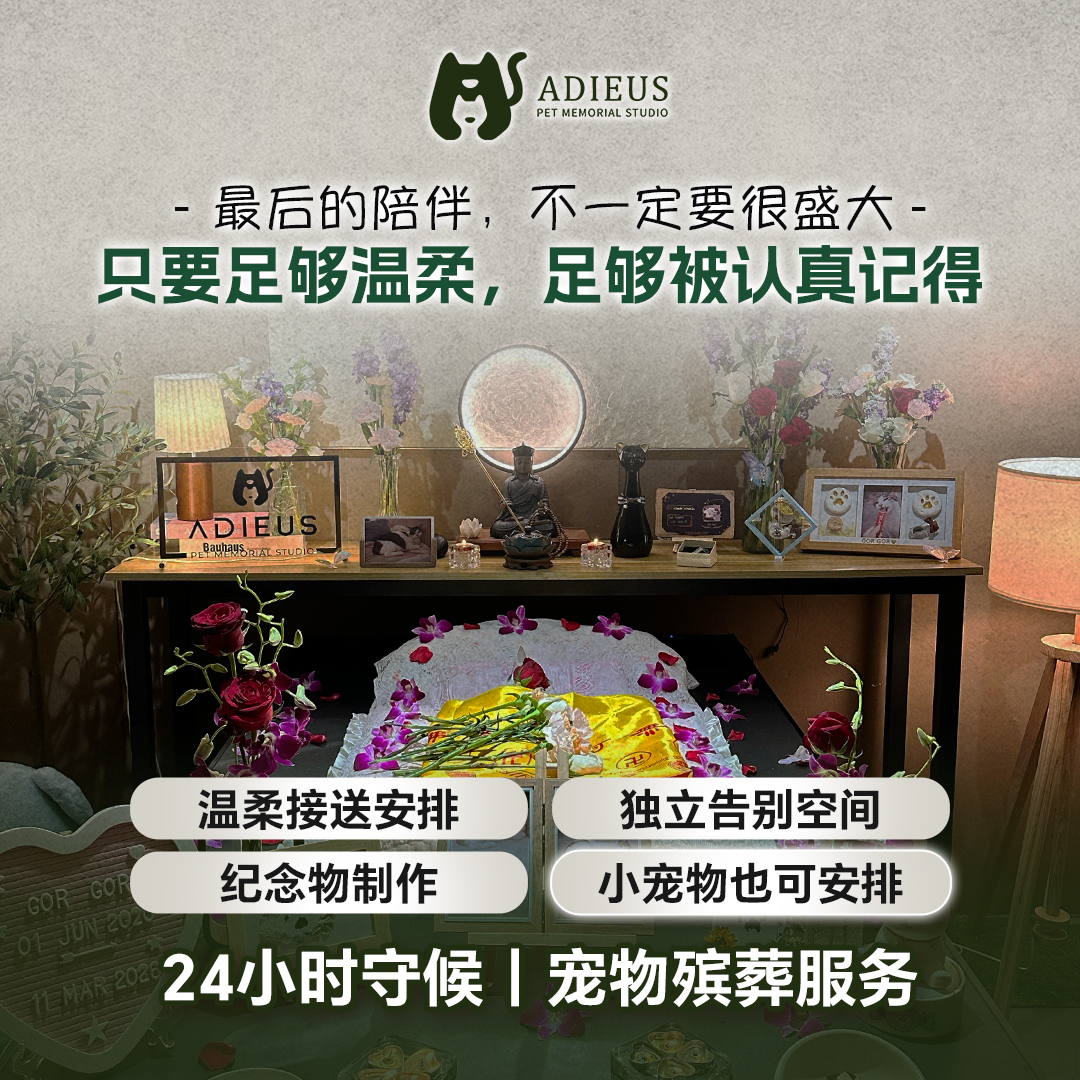 Adieus pet memorial gentle service visual