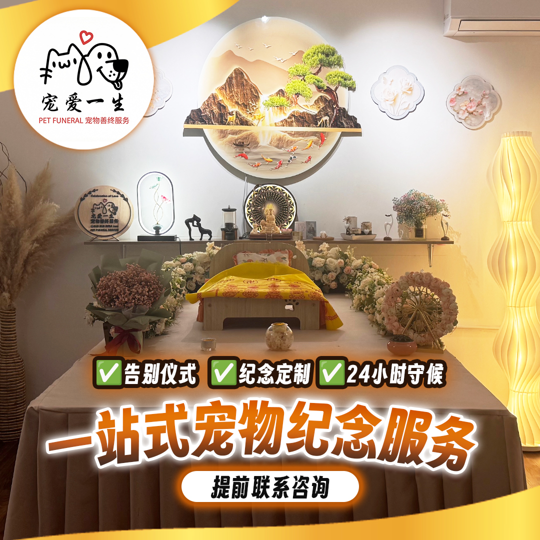 Chong Ai pet memorial one-stop service visual
