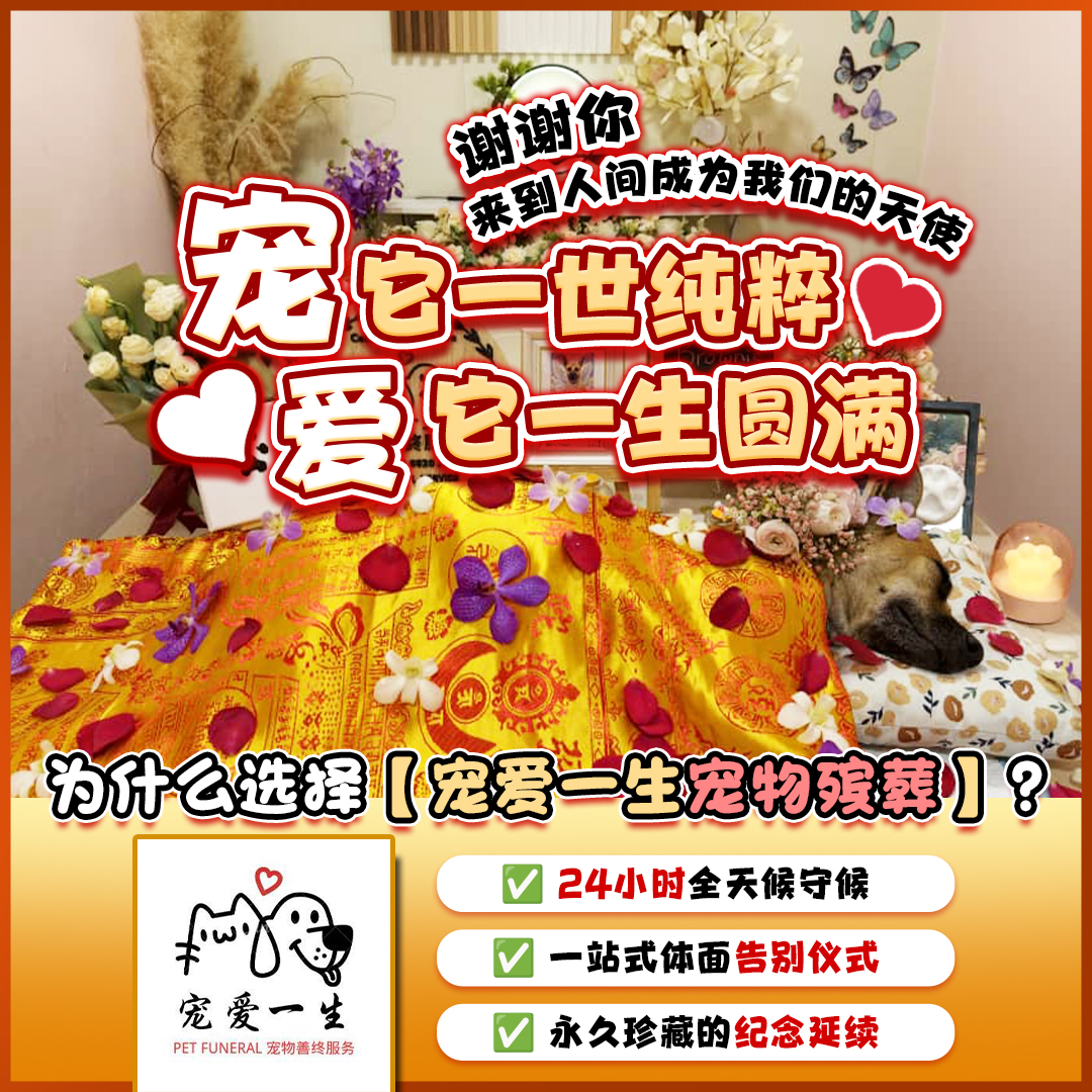 Chong Ai pet funeral trust visual
