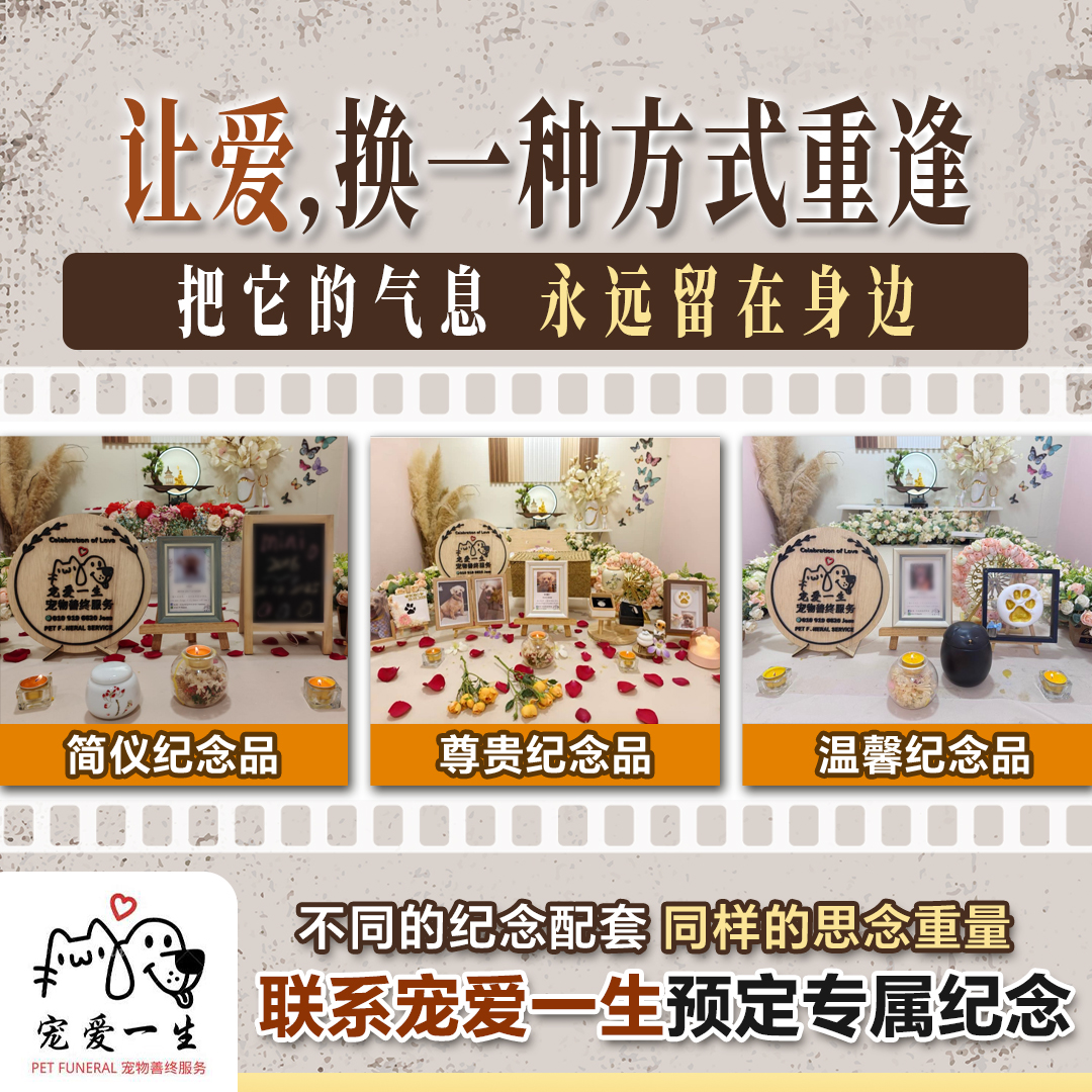 Chong Ai pet memorial package visual