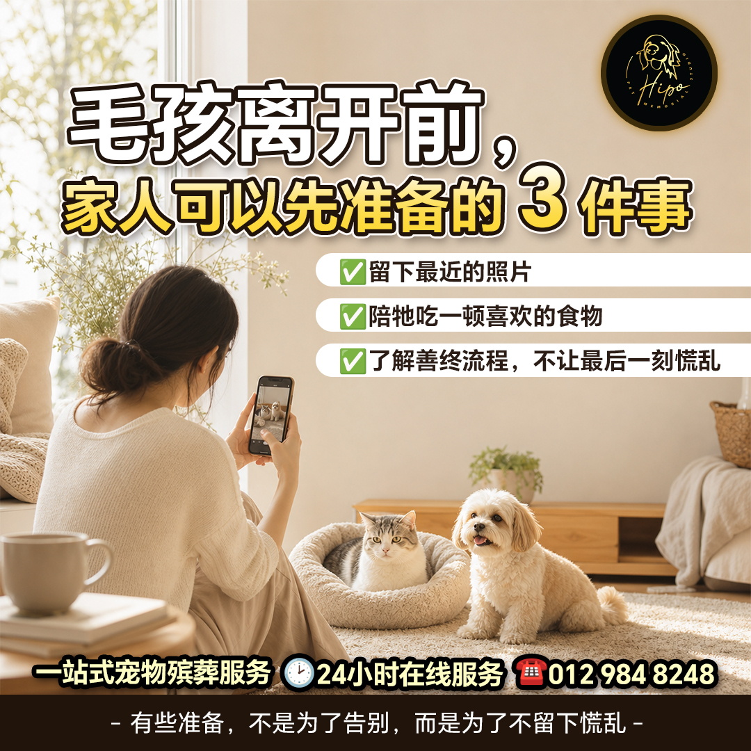 Hipo pet farewell preparation content