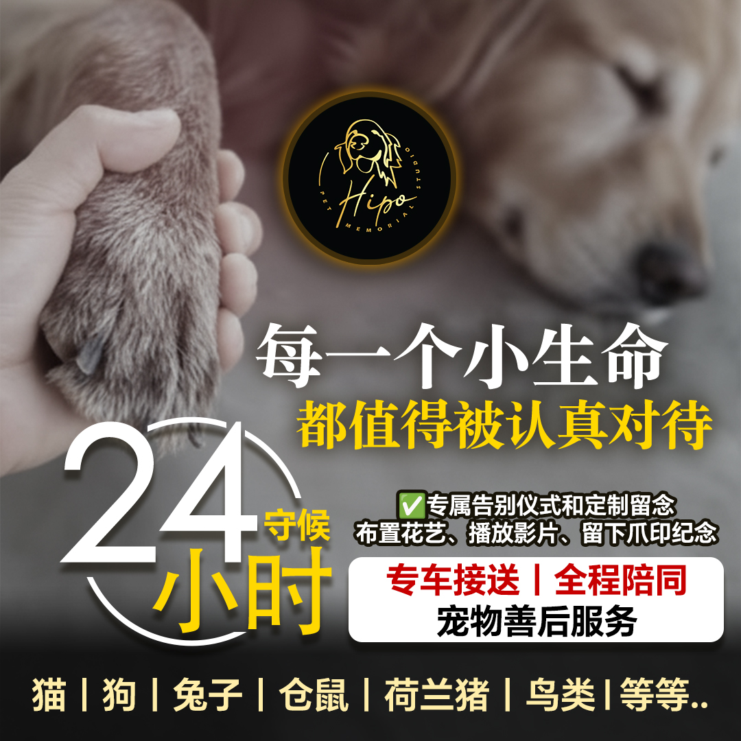Hipo 24 hour pet memorial service visual